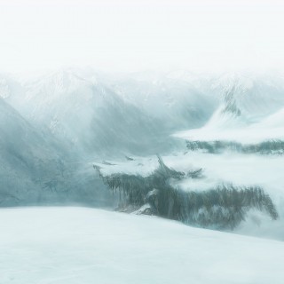 账号代购平台的轰炸软件